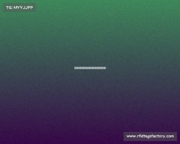 球衣赞助商影响力提升运动品牌合作新趋势分析