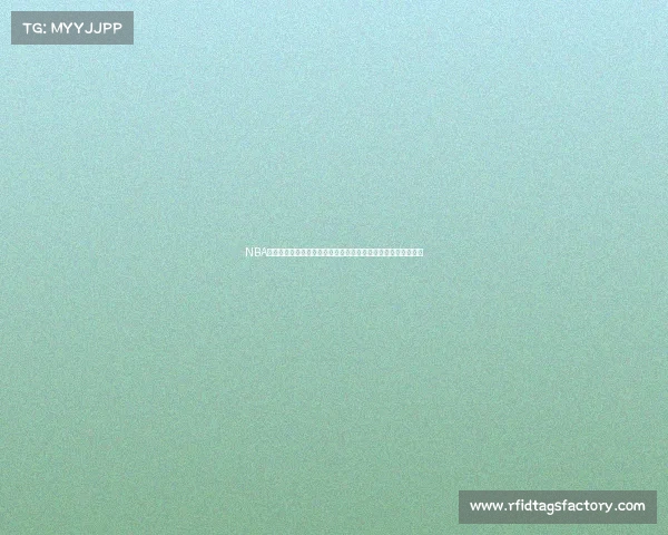 NBA内线悍将崛起:解析联盟顶级中锋与大前锋的统治力与战术价值