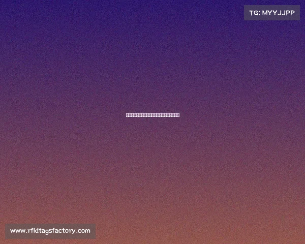 球衣赞助商影响力提升运动品牌合作新趋势分析