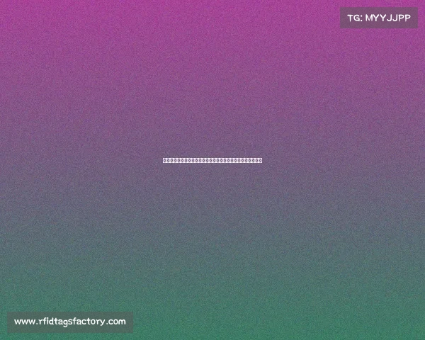 以塞尔塔为核心探寻西班牙独特魅力与足球文化交融的城市风情