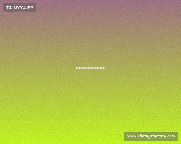 法甲裁判执法现状分析与未来发展趋势探讨