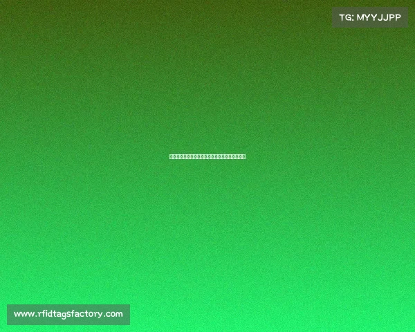 英超球场巡礼：探索英格兰足球的圣地与独特魅力